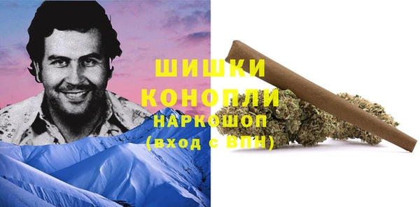 прущие грибы Зеленокумск