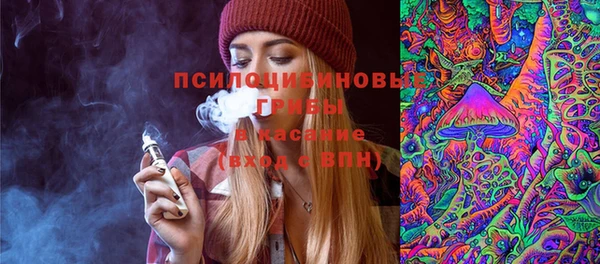 прущие грибы Зеленокумск