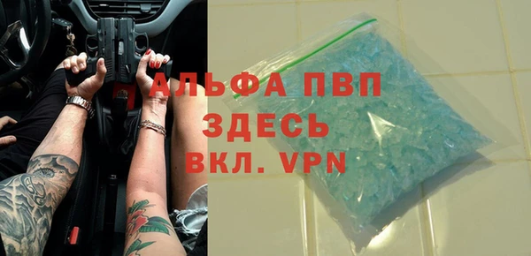 прущие грибы Зеленокумск