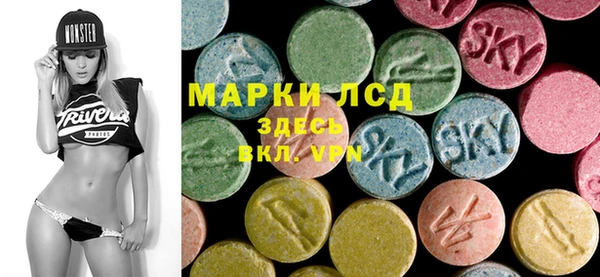 прущие грибы Зеленокумск