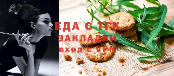 индика Иннополис