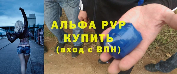 прущие грибы Зеленокумск