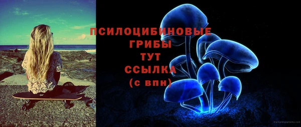 прущие грибы Зеленокумск