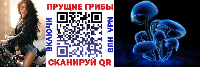 магазин продажи   Кимовск  ОМГ ОМГ вход  Псилоцибиновые грибы GOLDEN TEACHER 