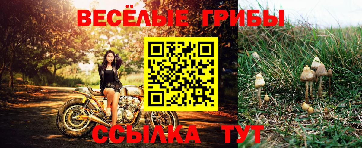 Галлюциногенные грибы мицелий  Галлюциногенные грибы ЛСД  Кимовск  Вход с VPN 